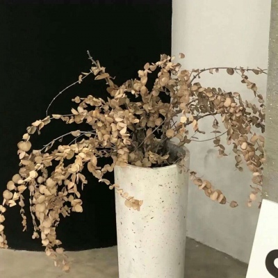 Furry绘画细节处理福瑞群